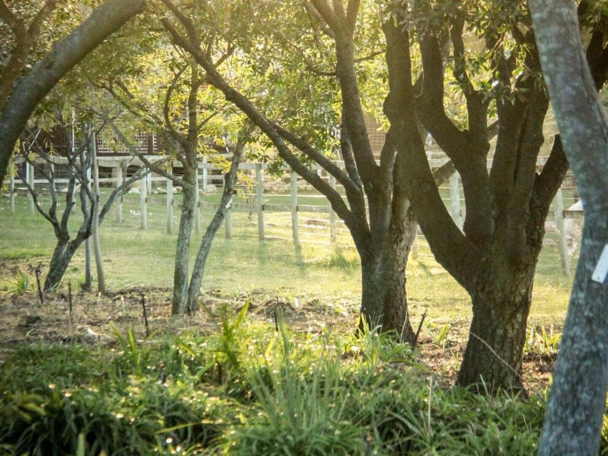 Place Of Sonlight Swellendam Eksteriør bilde